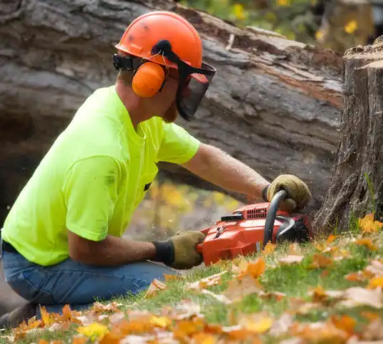 tree services Centerville